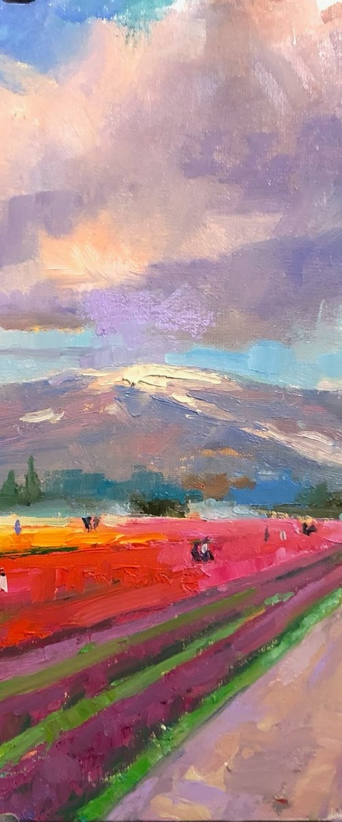 Pink Cloud by Emily Lane