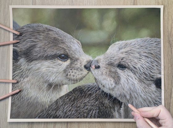 The Otter half
