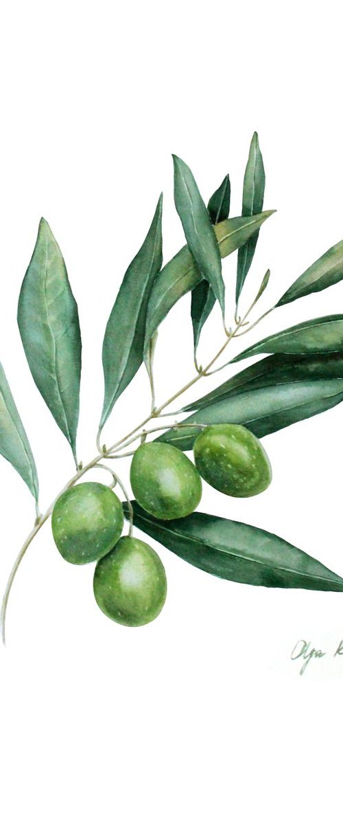 Green Olives by Olga Koelsch