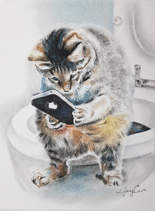 Cat Has A Busy Moment by Henry Cao