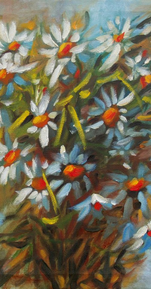 Daisies by Elena Sokolova