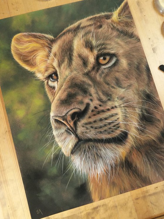 Lioness Portrait (Original Painting)