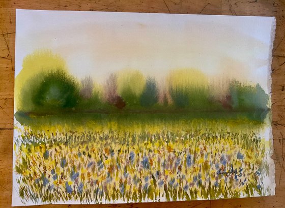 The beauty of Spring