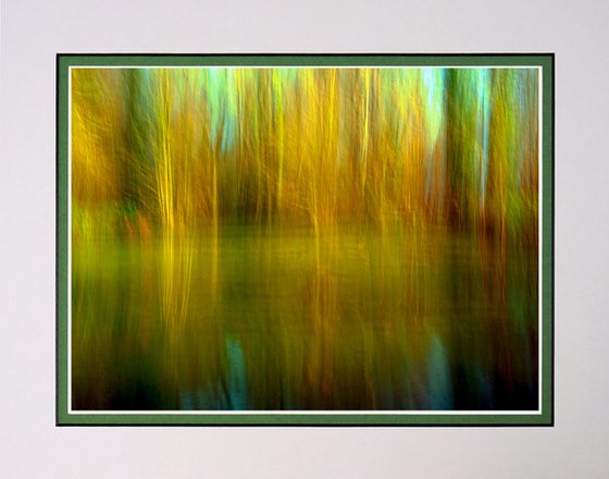 Vibrant Woodland Pond with ICM (intentional camera movement)