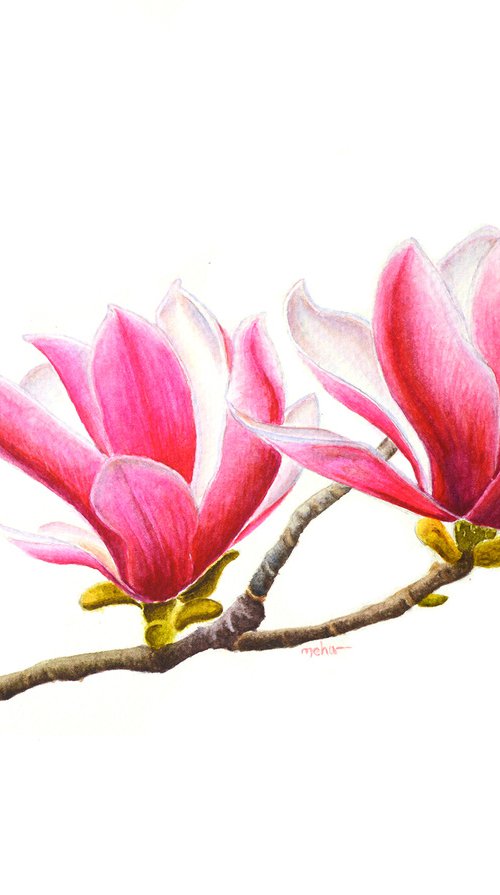 Pink Magnolia by Neha Soni