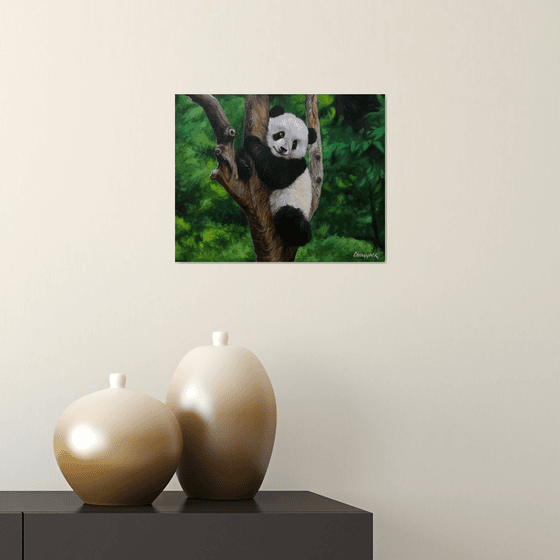 Cute panda