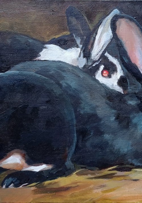 Live velvet. Black rabbits by Elena Utkina