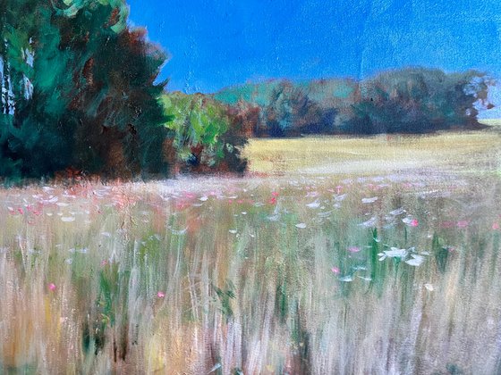 Wheat fields near Hambledon