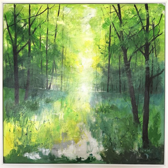 Misty Spring Woodland