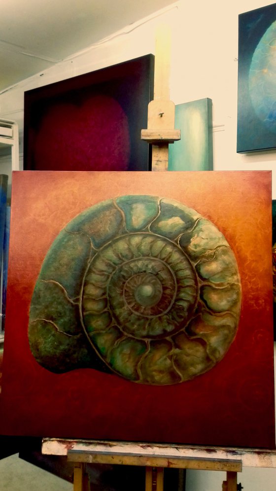 Green and Red Ammonite