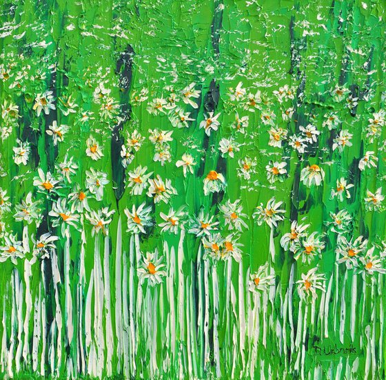 Daisies In The Grass 3