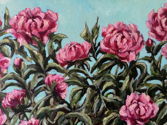Peonies