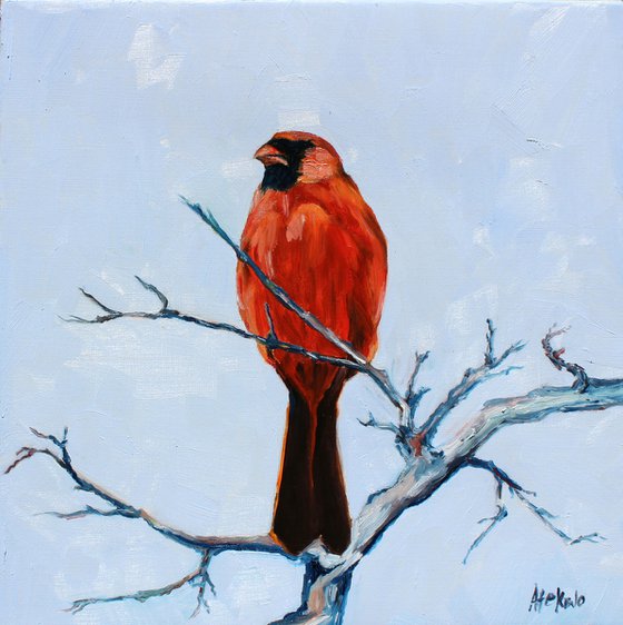 Song birds - Cardinal II