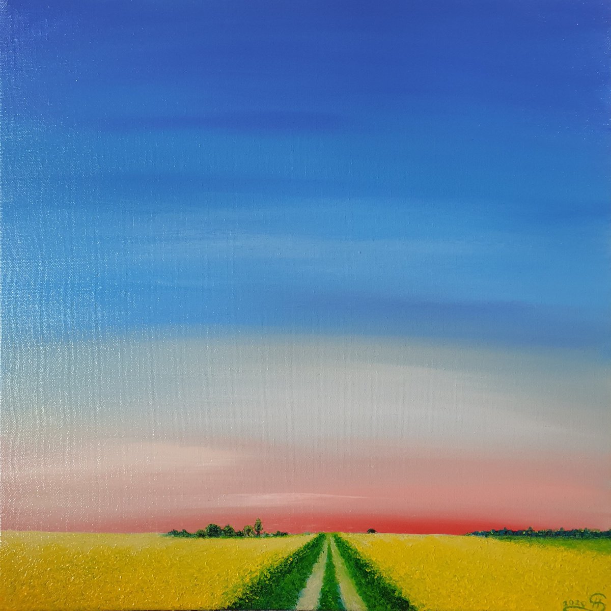 Fields of gold, 40x40cm, ready to hang by Silvija Horvat