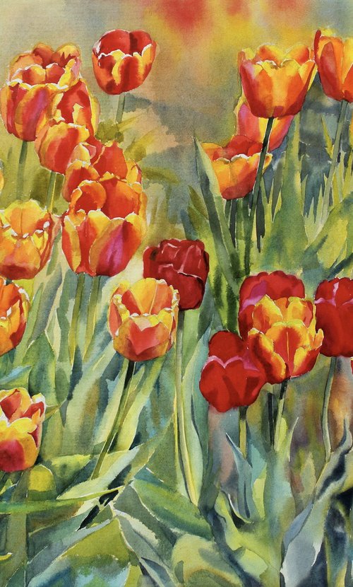 Tulips#4 by Yurii Pashkov