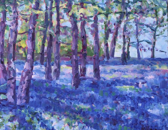 Mayday Bluebells