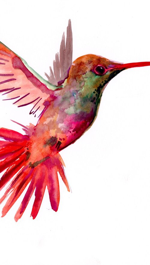 Corloful Hummingbird by Suren Nersisyan