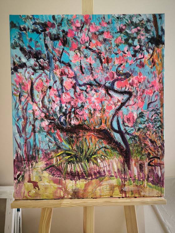 The Long-Awaited Magnolia