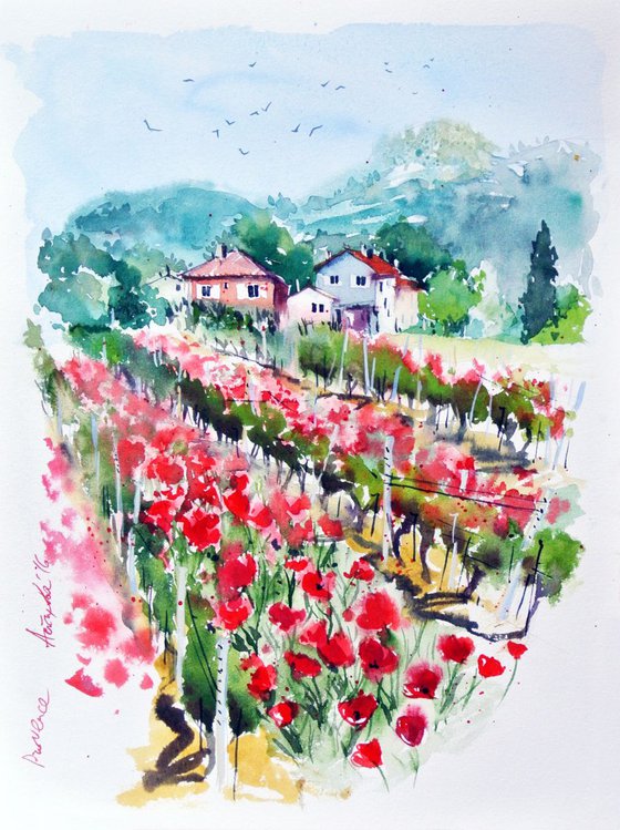 Poppies in the Vineyard