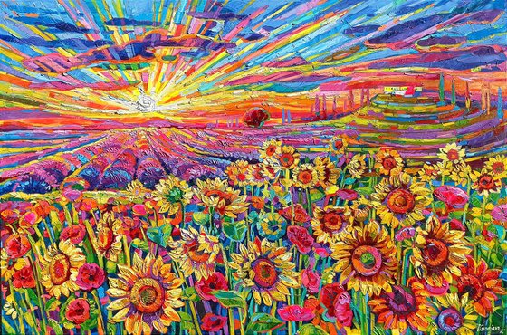 When the Sunflowers meet the light