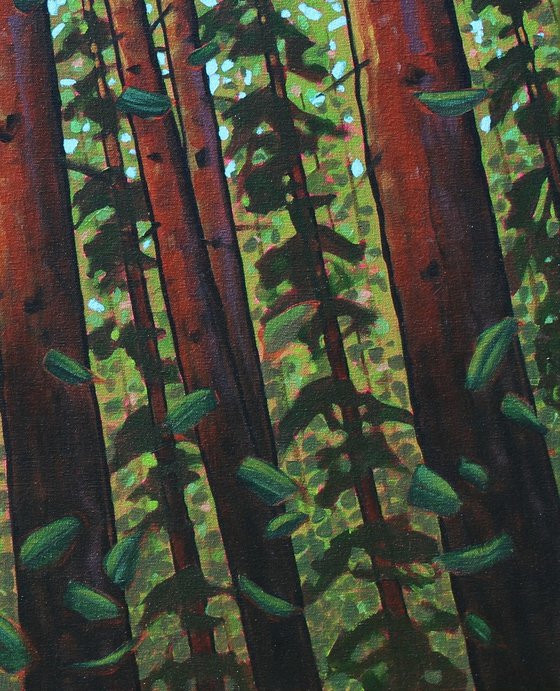 Trees of the Forest