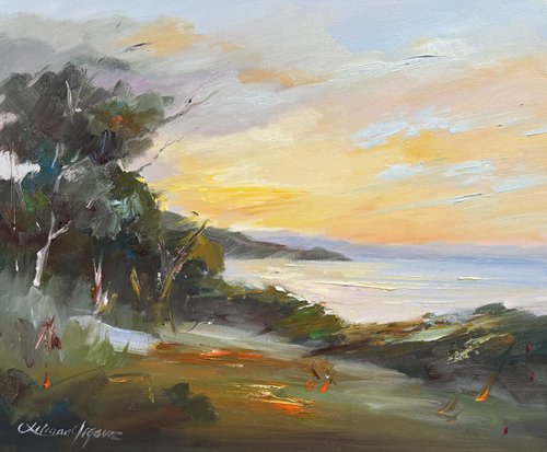 Sunset at Hamilton Island by Liliana Gigovic