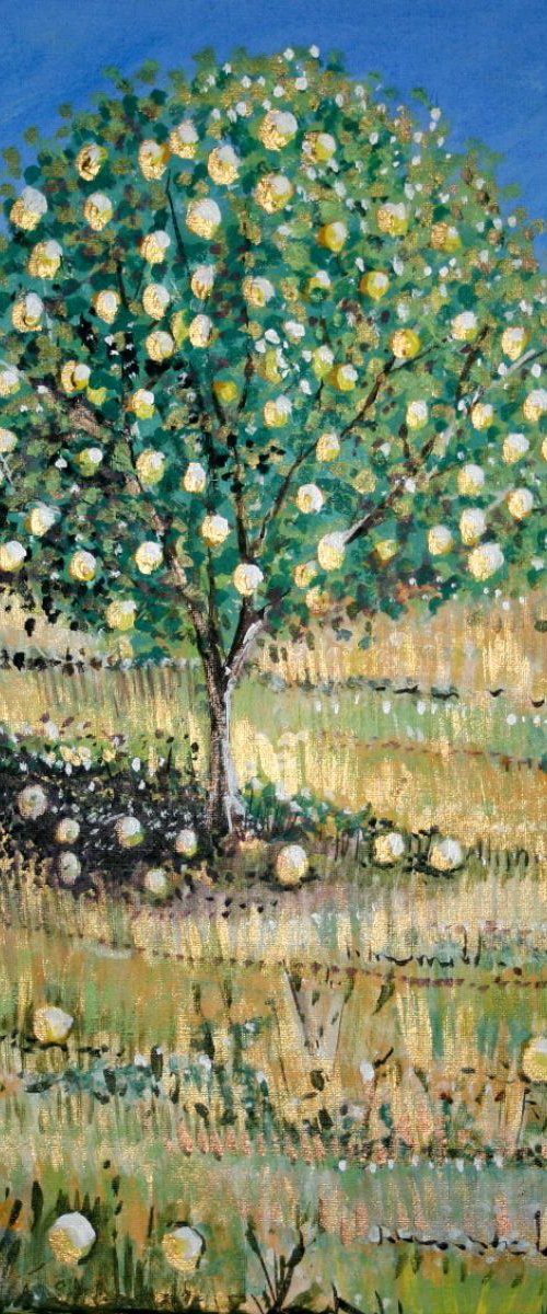 Zante Lemon Tree by Paul J Best
