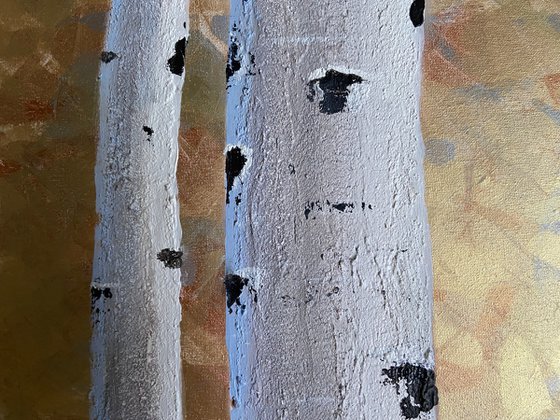 Textured birch trees