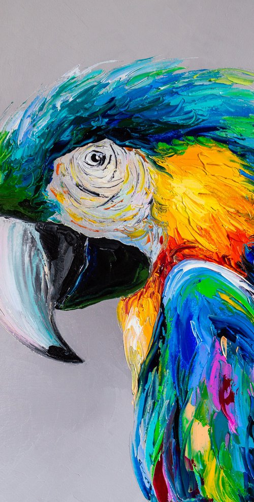 Macaw 2 by Liubov Kuptsova