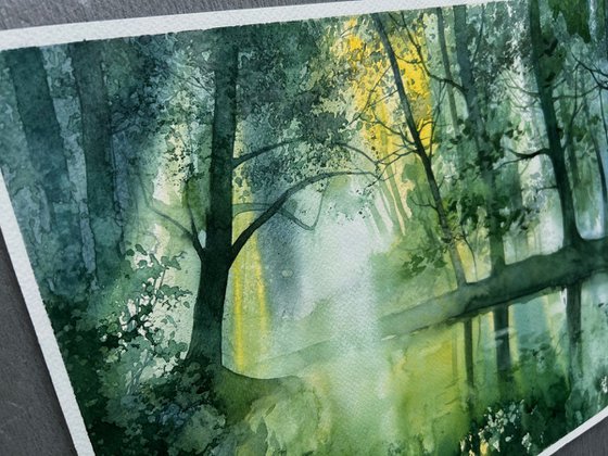 Bright summer morning
