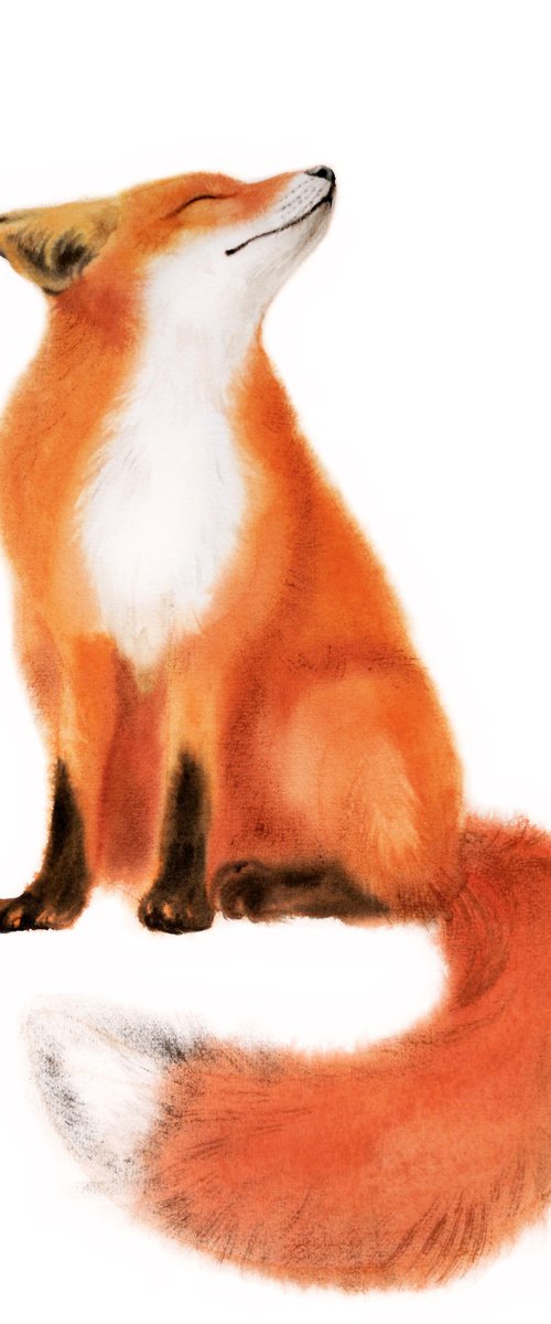 Red Fox - foxy - fox portrait by Olga Beliaeva Watercolour