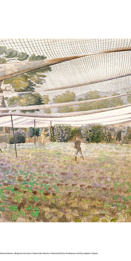 Strawberry Nets by Eric Ravilious