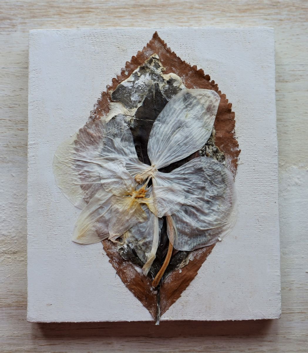 Botanical Collage By Florina Breazu, 4 X 5, April 20Th Iv, Original Artwork