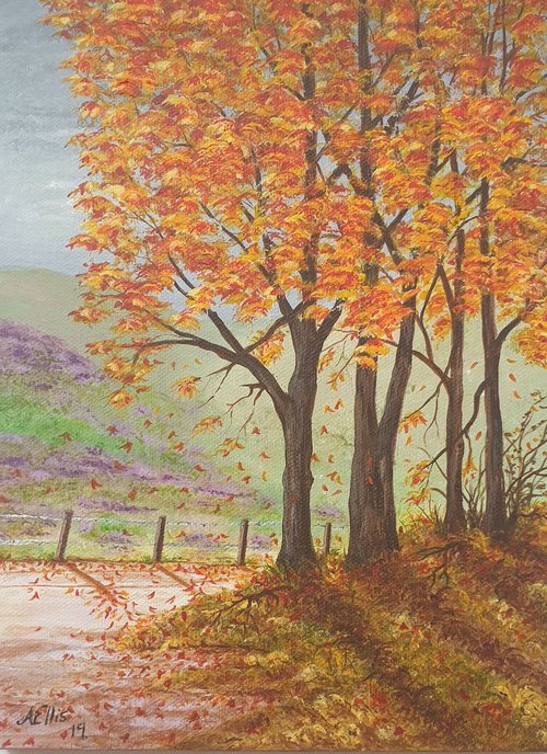 Autumn in Derbyshire UK by Anne-Marie Ellis