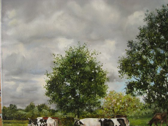 PEACEFUL PASTURE . Cows