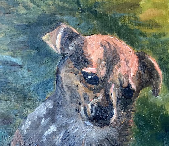Our faithful hound 'Lola',  an original oil painting on canvas board.
