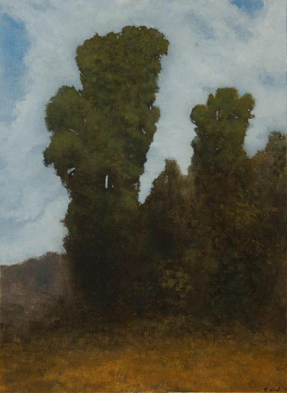 The art of seeing