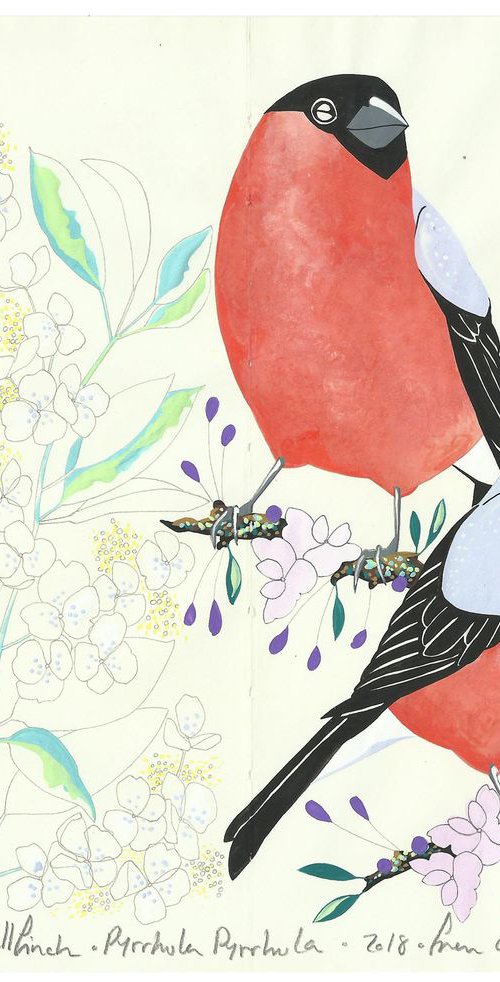 Bullfinch and Hydrangea by Fran Giffard