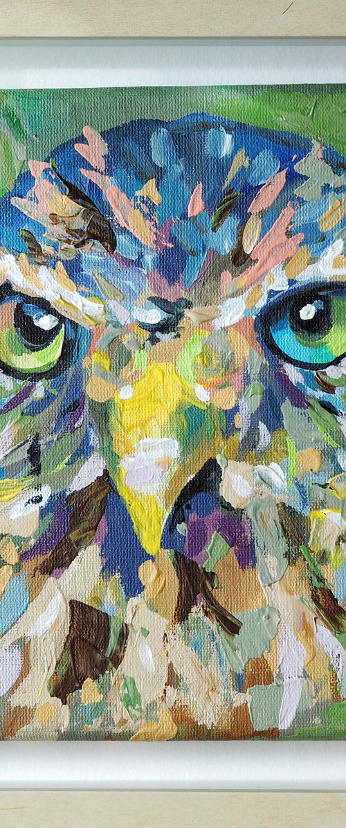 Owl by Delnara El