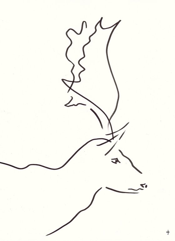 Deer