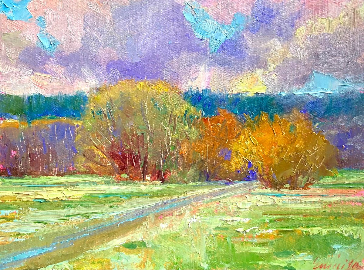 Drama of Nisqually by Emiliya Lane