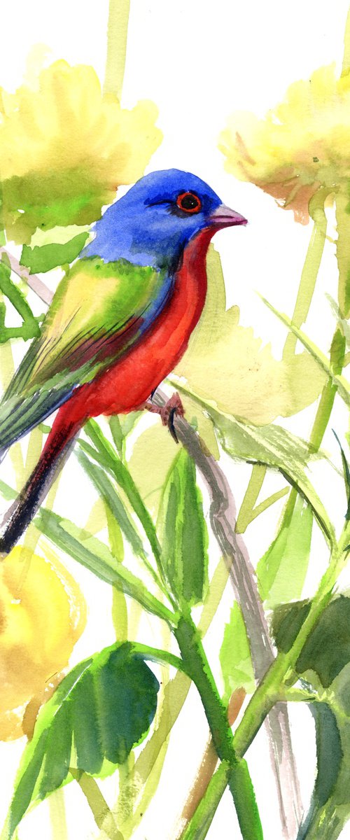 Painted Bunting by Suren Nersisyan