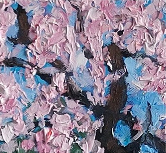 blossom 38