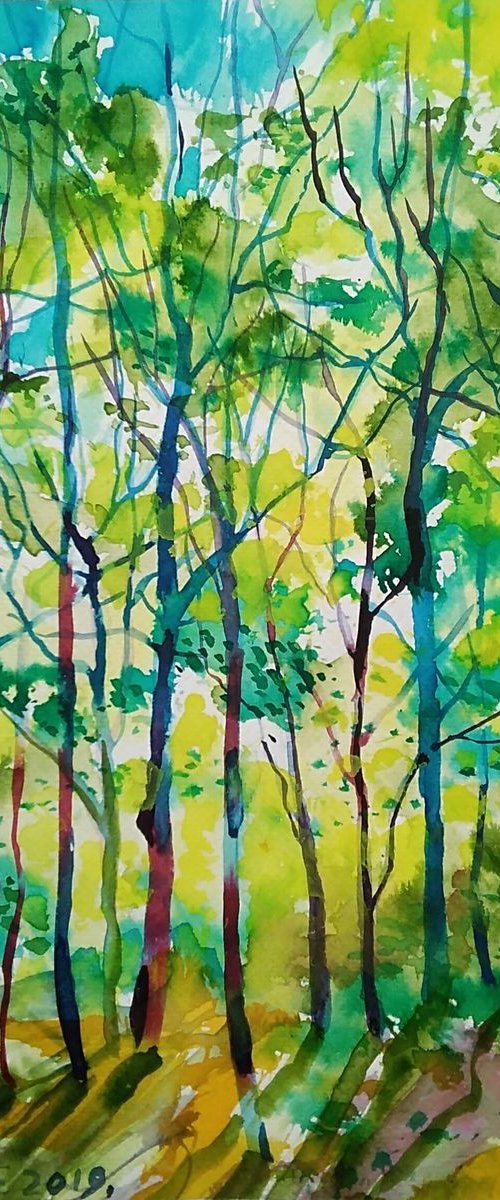 Tree canopy in green by Maja Grecic