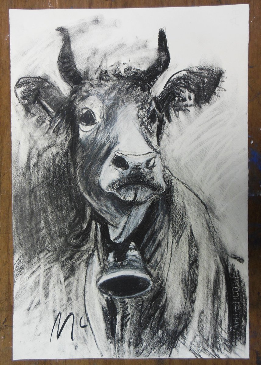 Swiss Cow Drawing I by Ben McInnes