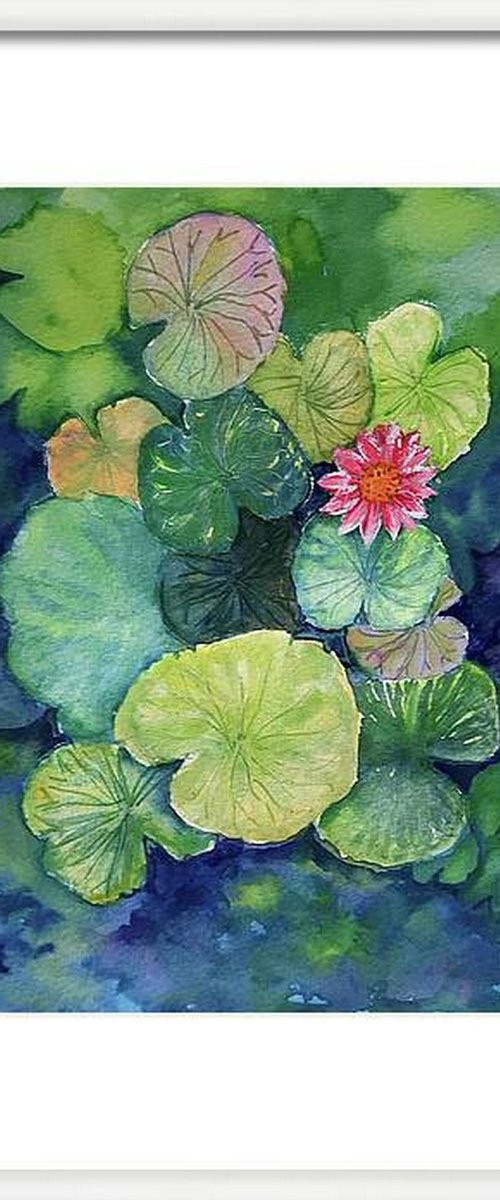 Lotus Pond with Water Lilies by Asha Shenoy