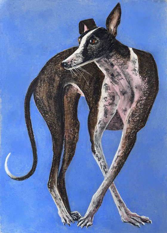 Dogs Portrait Soft Pastel Galgo español
