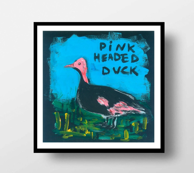 Pink Headed Duck Series Extinct Animals 21 21 Artfinder Maybe it was hiding in grassland and reluctant to fly. artfinder