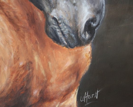 Horse (mare) and foal, equine, equestrian