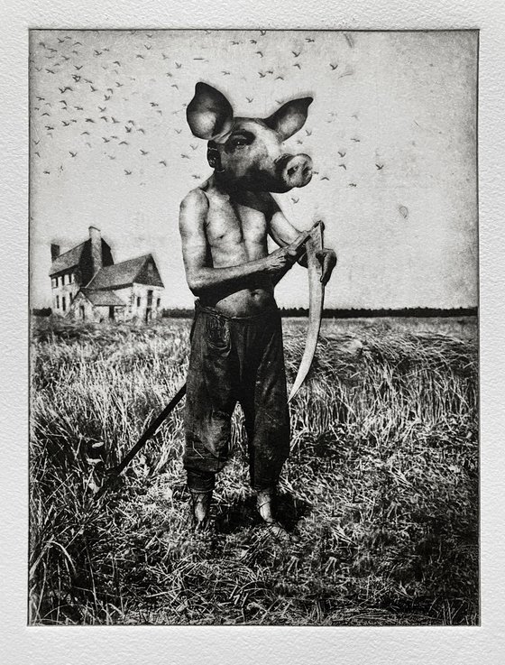 Pig Suite No.10: Wheat Whacker